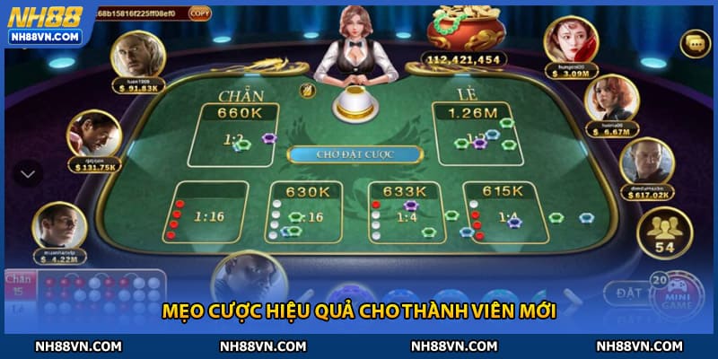 Kinh nghiệm đặt cược cho người mới bắt đầu