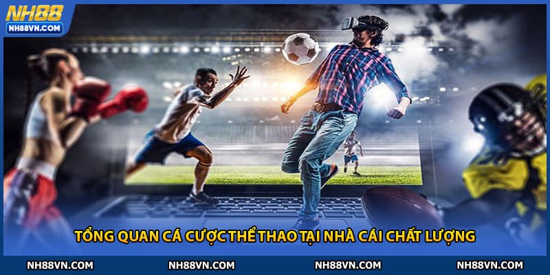 Tổng quan cá cược thể thao tại nhà cái chất lượng nh88